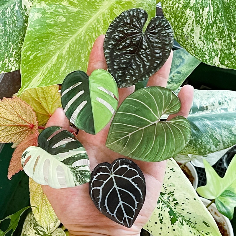 Glossy Simulation Leaf Phone H - Phone Accessories Vending Machine recension och pris